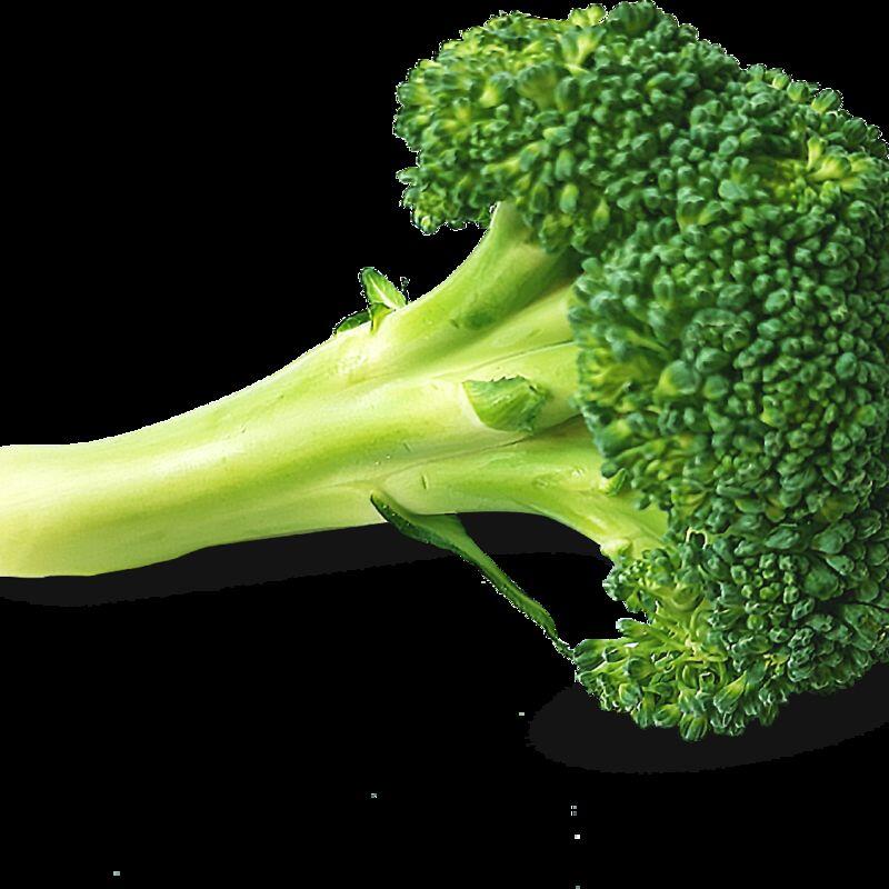 Fresh Broccoli